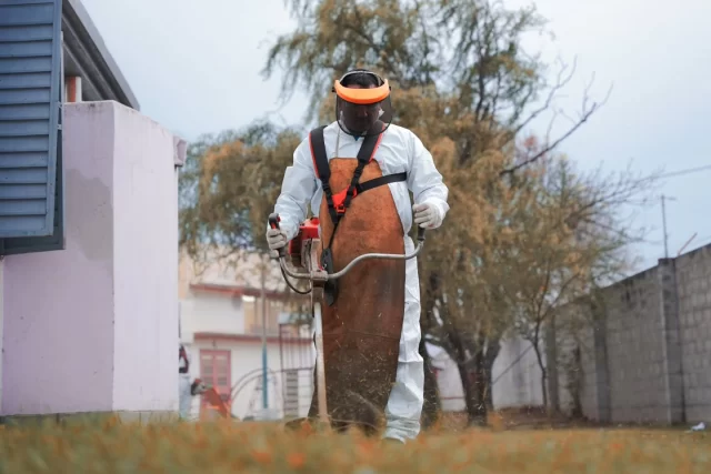 🥹 Limpiar nuestras escuelas tiene ese no se qué, que nos llena el corazón ❤️‍🩹

Es el orgullo de estar al servicio de los vecinos y vecinas en toda instancia. Saber que la eficiencia de nuestros equipos recupera el brillo de nuestros barrios para que los cordobeses y cordobesas vivan en un ambiente sano, limpio, con más oportunidades.

📍 Hoy realizamos desmalezado y limpieza general en la Escuela Ing. Región M. Madera, de barrio José Ignacio Diaz.

Porque para que Córdoba siga creciendo, seguimos haciendo. Y como marca nuestro intendente @danielpasseriniok , #JuntosHacemosMás.