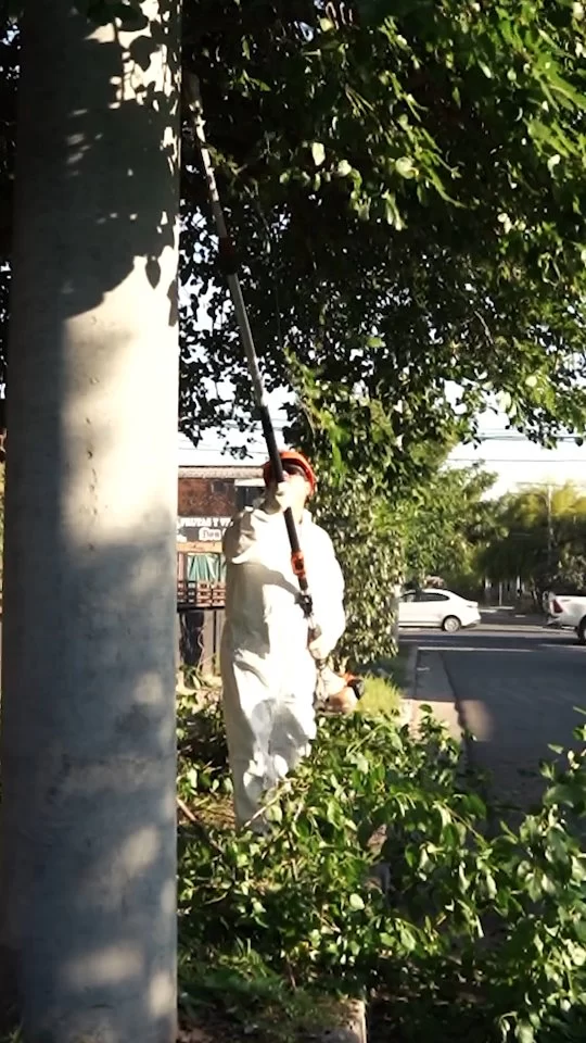 ✅ Hoy realizamos despeje de luminarias y barrido en Argüello. Otra mañana feliz al servicio de los vecinos y nuestra Córdoba linda 🫡✨

#CórdobaHace #CórdobaSigue