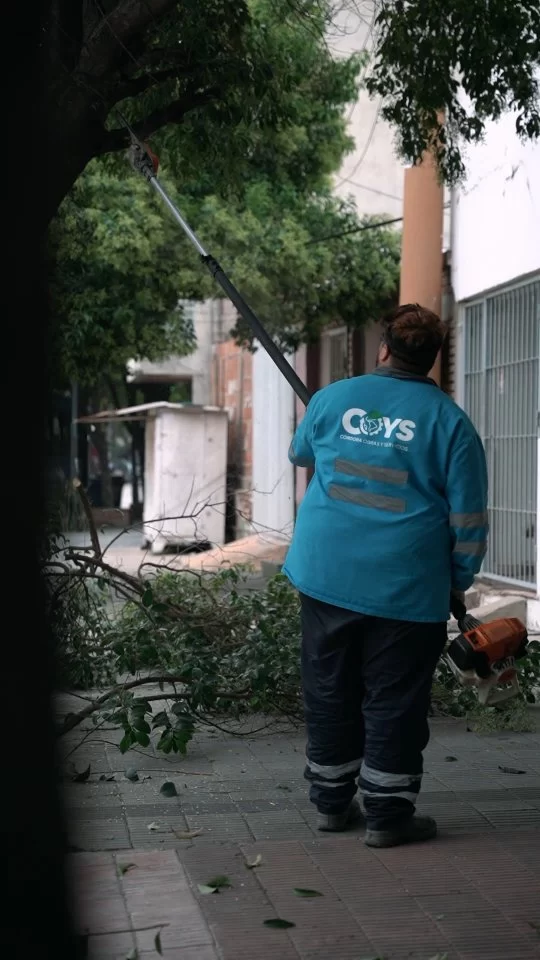 🍃✨️ Desmalezamos, podamos en altura y barrimos en Isabel la Católica 

🙌🏼 Nuestros equipos siguen haciendo una Córdoba más limpia y segura. Full compromiso 🫡

#CórdobaHace #CórdobaSigue
