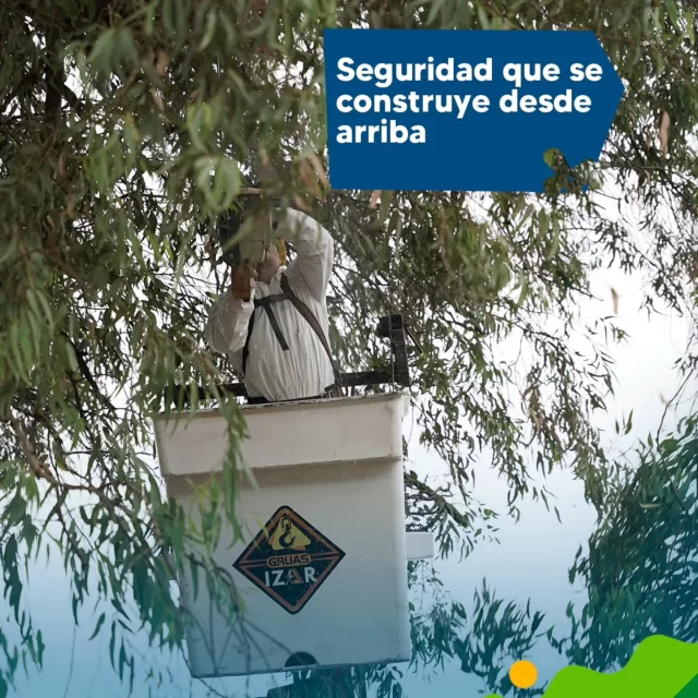 Miramos hacia arriba para que vos camines tranquilo. 🌳🛡️

Con el servicio de poda en altura, eliminamos riesgos y despejamos el entorno, garantizando una ciudad más segura y cuidada para todos.
Anticiparse es la mejor forma de cuidar nuestro espacio. ✨🏗️

#CórdobaSigue #CordobaHace