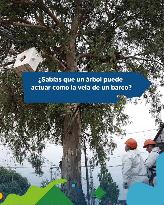 🌳 No se trata solo de "recortar ramas". El mantenimiento profesional es lo que permite que el viento pase sin poner en riesgo la estabilidad del árbol ni la seguridad de la calle.
Deslizá para descubrir cómo contribuimos a la seguridad con nuestro servicio de poda en altura. 

#CórdobaSigue #CordobaHace