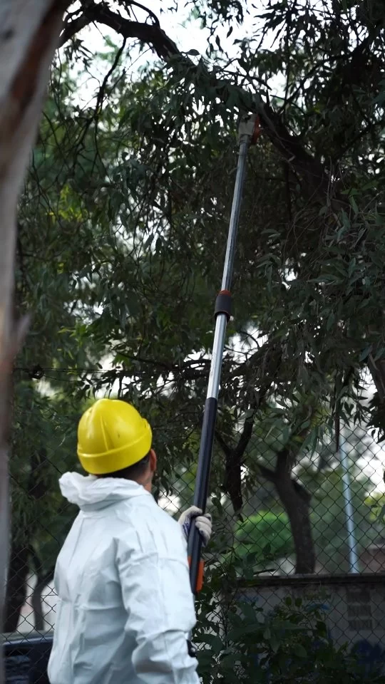 🤩 Otra semana haciendo lo que amamos: devolviendo el brillo a nuestra Córdoba ✨️ 

#CórdobaHace #CórdobaSigue