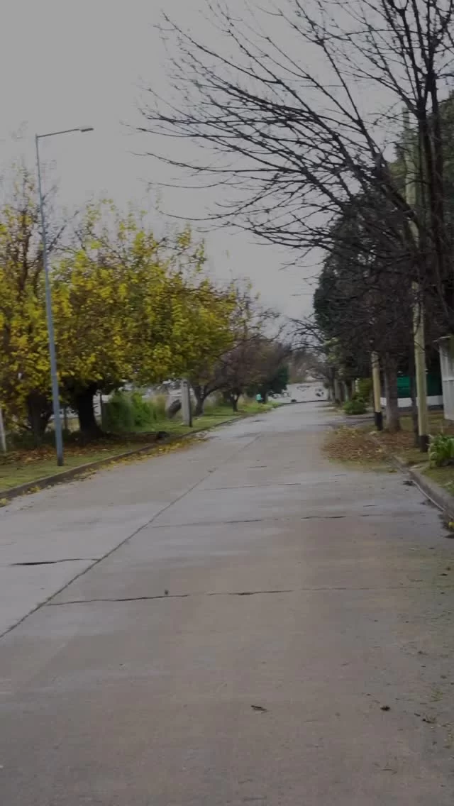 👌 Mañana de operativo con asistente de lujo en Ampliación Panamericano 🐶😍

✅ Poda ✅ barrido ✅ desmalezado ✅ recolección y una asistencia inmejorable para dejar la zona impecable para los vecinos y vecinas ✨