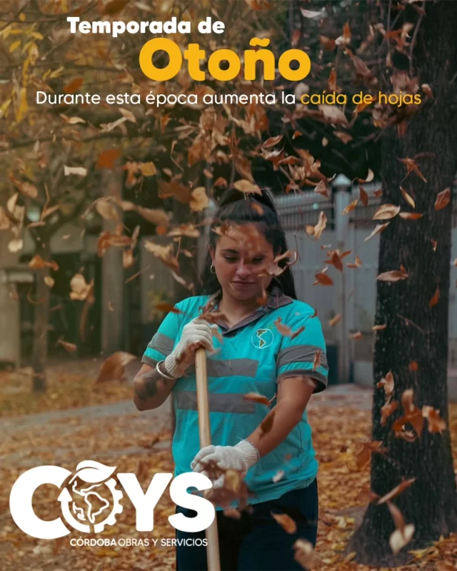 🍂 Temporada de hojas secas: ¡A prestar atención!

Cuidar el frente de casa es cuidar a toda la comunidad. Te dejamos una guía súper rápida con lo que tenés que saber para colaborar con la limpieza y el drenaje de la ciudad.

¡Mira esta info! 📑👆