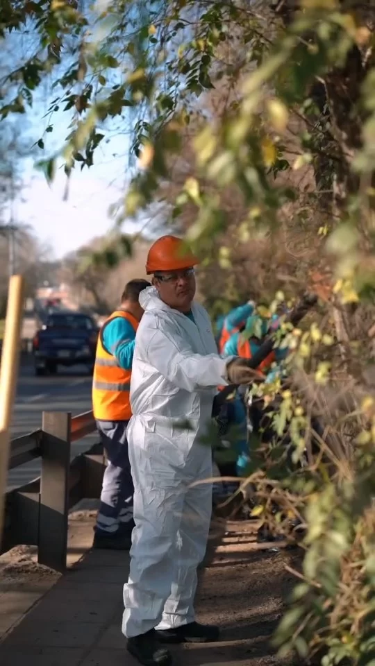 ☝️ Si nos preguntan cuáles son nuestros operativos preferidos, diríamos que estos en los que además de múltiples servicios metemos corte de tránsito y trabajo en equipo con otras áreas de la Muni. 

🍂 La ciudad brilla más cuando la cuidamos entre todos ❤️